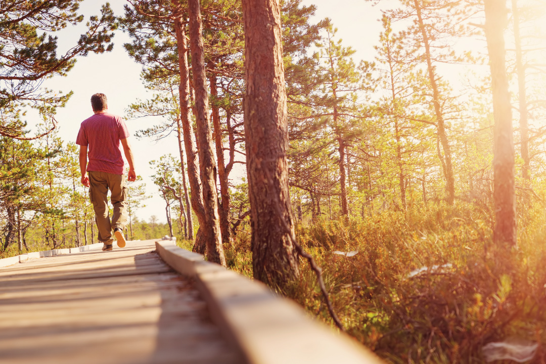 man walking down sunlit path amongst trees